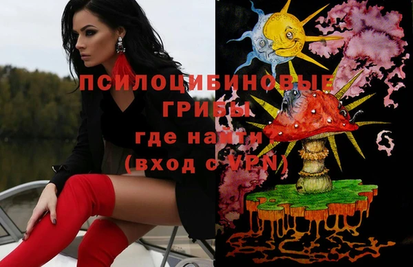 МДПВ Алзамай