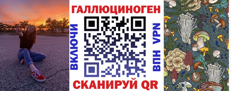 blacksprut ONION  закладка  Елизово  Галлюциногенные грибы Magic Shrooms 